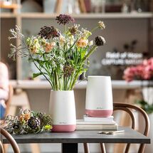 LECHUZA YULA Flower Διακοσμητικό Βάζο-Ανθοδοχείο 14x14x21cm White-Green Γερμανίας