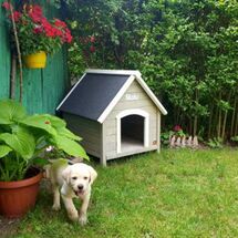 VESTA Ξύλινο Σπιτάκι Σκύλου Small 72x76x76cm 17kg Φυσικό Ξύλο Ελάτης-Ανθρακί
