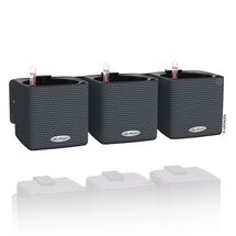 LECHUZA GREEN WALL Color Επιτοίχια Γλάστρα 48x6x14cm Αυτοποτιζόμενη 1.9kg με Εσωτερικά Δοχεία ΑΝΘΡΑΚΙ Γερμανίας