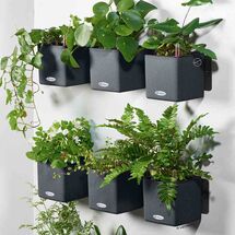 LECHUZA Μαγνητικό Στήριγμα GREEN WALL για CUBE 14 και CUBE Triple Μαύρο