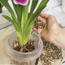 LECHUZA-ORCHIDPON Υπόστρωμα Φύτευσης Ορχιδέας 6lt για Γλάστρες Lechuza