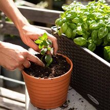 LECHUZA-VEGGIEPON Υπόστρωμα Λαχανικών 12lt για Γλάστρες Lechuza