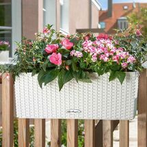 LECHUZA Balconera Cottage50 Ζαρντινιέρα 50x19x19cm Αυτοποτιζόμενη με Δοχείο Φύτευσης Light Grey Γερμανίας RedDot Award 2010