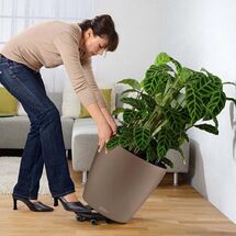 LECHUZA Classico 70 Επιδαπέδια Γλάστρα Ø68x65cm Αυτοποτιζόμενη Sand Brown Γερμανίας