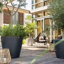 LECHUZA Classico 60 Επιδαπέδια Γλάστρα Ø59x56cm Αυτοποτιζόμενη Sand Brown Γερμανίας