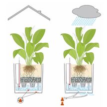 LECHUZA Cube Cottage 50 Επιδαπέδια Γλάστρα 49x49x49.5cm Αυτοποτιζόμενη με Δοχείο Φύτευσης Μαύρο του Γραφίτη Γερμανίας