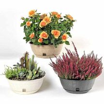 BAMA ITALY Γλάστρα Ψάθα Χαμηλή με Πιάτο Ø21x8.5cm Πλαστική Λευκή PAGLIA