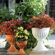 Ανθοστήλη/Γλάστρα Ø43x46cm Πλαστική 20lt Λευκή CALICE ALBA BAMA Ιταλίας