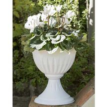 Ανθοστήλη/Γλάστρα Ø43x46cm Πλαστική 20lt Λευκή CALICE ALBA BAMA Ιταλίας