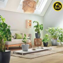 LECHUZA Classico Color ECO 60 Επιδαπέδια Γλάστρα Ø59x56cm Αυτοποτιζόμενη Dark Grey Γερμανίας