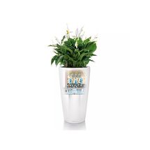 LECHUZA RONDO 40 Premium Επιδαπέδια Γλάστρα Ø40x75cm ΑΥΤΟΠΟΤΙΖΟΜΕΝΗ με Δοχείο Φύτευσης Λευκή Ματ Γερμανίας