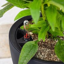 LECHUZA Classico Color LS 28 Επιτραπέζια Γλάστρα Ø28x26cm Αυτοποτιζόμενη με Δοχείο Φύτευσης Ανθρακί Ματ Γερμανίας