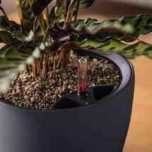 LECHUZA Classico Color LS 35 Επιτραπέζια Γλάστρα Ø34.5x32.5cm Αυτοποτιζόμενη με Δοχείο Φύτευσης Ανθρακί Ματ Γερμανίας