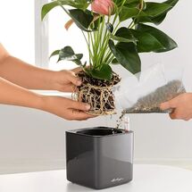 LECHUZA Επιφάνεια Φύτευσης για CUBE 14, Canto, Ojo & Triple