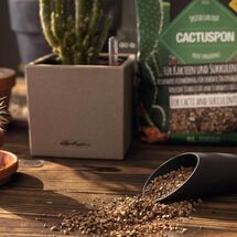 LECHUZA CACTUSPON Υπόστρωμα Φύτευσης 3lt για Κάκτους και Παχύφυτα για Γλάστρες Lechuza