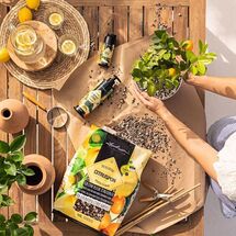 LECHUZA CITRUSPON Υπόστρωμα Φύτευσης 12lt με Λίπασμα για Εσπεριδοειδή για Γλάστρες Lechuza