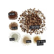 LECHUZA CITRUSPON Υπόστρωμα Φύτευσης 12lt με Λίπασμα για Εσπεριδοειδή για Γλάστρες Lechuza