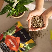 LECHUZA MONOPON Υπόστρωμα Φύτευσης 12lt Γενικής Χρήσης με Ελαφρόπετρα για όλα τα Φυτά και τις Γλάστρες