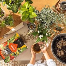 LECHUZA MONOPON Υπόστρωμα Φύτευσης 12lt Γενικής Χρήσης με Ελαφρόπετρα για όλα τα Φυτά και τις Γλάστρες