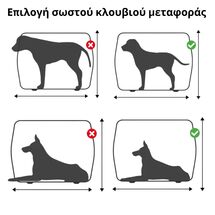 VESTA Κλουβί Μεταφοράς Κατοικιδίου 39x61x42cm IATA PetCarrier 2 Small Πλαστικό 3.45kg Λευκό Πάγου-Ραφ