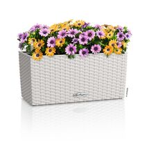 LECHUZA Balconera Cottage 40 Ζαρντινιέρα 40x19x19cm Αυτοποτιζόμενη με Δοχείο Φύτευσης Light Grey Γερμανίας