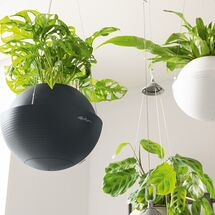 LECHUZA BOLA Color 32 Ανθρακί Με Σύστημα Ανάρτησης