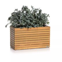LECHUZA PALO Natural Wood Wide 80 Low  Επιδαπέδια Γλάστρα 79x37x46cm Αυτοποτιζόμενη με Δοχείο Φυσικό Ξύλο Ευκαλύπτου