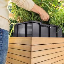 LECHUZA PALO Natural Wood Wide 80 Low  Επιδαπέδια Γλάστρα 79x37x46cm Αυτοποτιζόμενη με Δοχείο Φυσικό Ξύλο Ευκαλύπτου