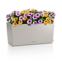 LECHUZA Balconera Color 40 Ζαρντινιέρα 40x19x19cm Αυτοποτιζόμενη με Δοχείο Φύτευσης Sand Brown Γερμανίας