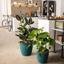 LECHUZA Cachepot Deco 10 Επιτραπέζια Γλάστρα Ø11x10cm Pine Γερμανίας