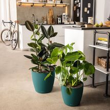 LECHUZA Cachepot Deco 21 Επιτραπέζια Γλάστρα Ø22x21cm Λευκή Γερμανίας