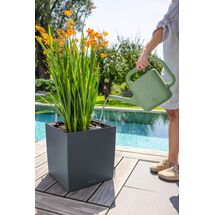 LECHUZA MOJA Ποτιστήρι 54x17x35cm 10 lt Πλαστικό Πράσινο Γερμανίας