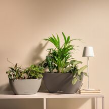 LECHUZA Navio Color 20 Επιτραπέζια Γλάστρα 39x19x18cm Αυτοποτιζόμενη με Δοχείο Φύτευσης Nutmeg Γερμανίας