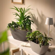 LECHUZA Navio Color 20 Επιτραπέζια Γλάστρα 39x19x18cm Αυτοποτιζόμενη με Δοχείο Φύτευσης Λευκή Γερμανίας