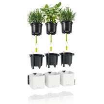 LECHUZA Green Wall Premium Επιτοίχια Γλάστρα 48x6x14cm Αυτοποτιζόμενη με Εσωτερικά Δοχεία Λευκή Mατ Γερμανίας