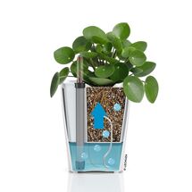 LECHUZA Mini Deltini Επιτραπέζια Γλάστρα 10x10x13cm Αυτοποτιζόμενη με Δοχείο Φύτευσης Basalt Grey Ματ Γερμανίας