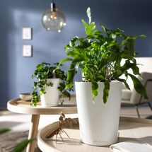 LECHUZA Mini Deltini Επιτραπέζια Γλάστρα 10x10x13cm Αυτοποτιζόμενη με Δοχείο Φύτευσης Basalt Grey Ματ Γερμανίας