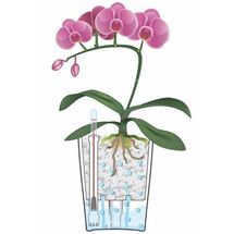 LECHUZA Mini Deltini Επιτραπέζια Γλάστρα 10x10x13cm Αυτοποτιζόμενη με Δοχείο Φύτευσης Scarlet Red Ματ Γερμανίας