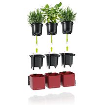 LECHUZA Green Wall Premium Επιτοίχια Γλάστρα 48x6x14cm Αυτοποτιζόμενη με Εσωτερικά Δοχεία Scarlet Red Mατ Γερμανίας