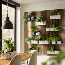 LECHUZA Green Wall Premium Επιτοίχια Γλάστρα 48x6x14cm Αυτοποτιζόμενη με Εσωτερικά Δοχεία Scarlet Red Mατ Γερμανίας