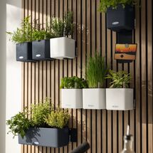 LECHUZA Green Wall Premium Επιτοίχια Γλάστρα 48x6x14cm Αυτοποτιζόμενη με Εσωτερικά Δοχεία Basalt Grey Mατ Γερμανίας