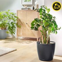 LECHUZA Classico ECO 50 Επιδαπέδια Γλάστρα Ø49x46cm Αυτοποτιζόμενη Dark Grey Γερμανίας