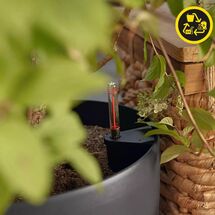 LECHUZA Classico ECO 50 Επιδαπέδια Γλάστρα Ø49x46cm Αυτοποτιζόμενη Dark Grey Γερμανίας