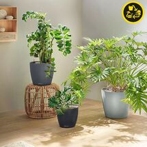 LECHUZA Classico ECO 50 Επιδαπέδια Γλάστρα Ø49x46cm Αυτοποτιζόμενη Light Grey Γερμανίας