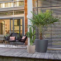 LECHUZA Classico 50 Επιδαπέδια Γλάστρα Ø50x46cm Αυτοποτιζόμενη Sand Brown Γερμανίας