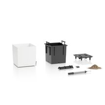 LECHUZA Cube Color 30 Επιδαπέδια Γλάστρα Κύβος 30x30x30cm Αυτοποτιζόμενη με Δοχείο Λευκή Γερμανίας