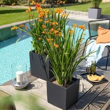 LECHUZA Cube Color 30 Επιδαπέδια Γλάστρα Κύβος 30x30x30cm Αυτοποτιζόμενη με Δοχείο Nutmeg Γερμανίας