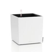 LECHUZA Cube Color 40 Επιδαπέδια Γλάστρα Κύβος 40x40x40cm Αυτοποτιζόμενη με Δοχείο Λευκή Γερμανίας