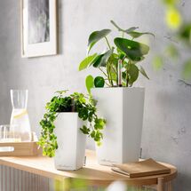 LECHUZA Mini-Cubi Επιτραπέζια Γλάστρα 9.5x9.5x18.5cm Αυτοποτιζόμενη με Δοχείο Φύτευσης Basalt Grey Ματ Γερμανίας