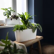 LECHUZA Delta10 Επιτραπέζια Γλάστρα 30x11x13cm Αυτοποτιζόμενη με Δοχείο Φύτευσης Κόκκινη Ματ Γερμανίας RedDot Award 2009/Designpreis Deutchland 2010